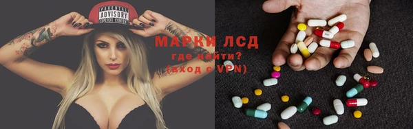 ПСИЛОЦИБИНОВЫЕ ГРИБЫ Медногорск