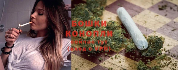 ПСИЛОЦИБИНОВЫЕ ГРИБЫ Медногорск