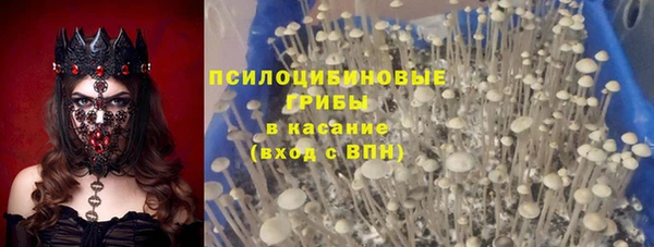 2c-b Магадан