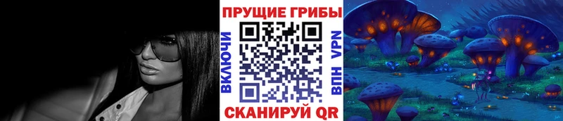 Псилоцибиновые грибы Cubensis  Купить закладки  Михайловск 